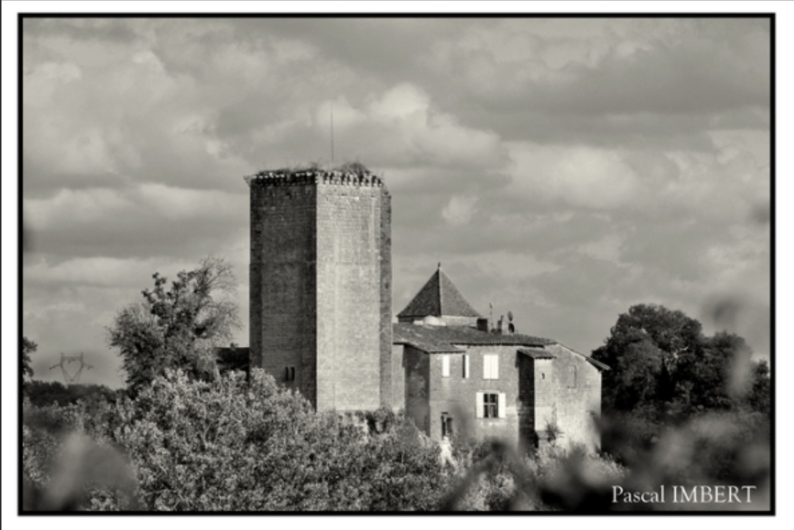 Enter a description here