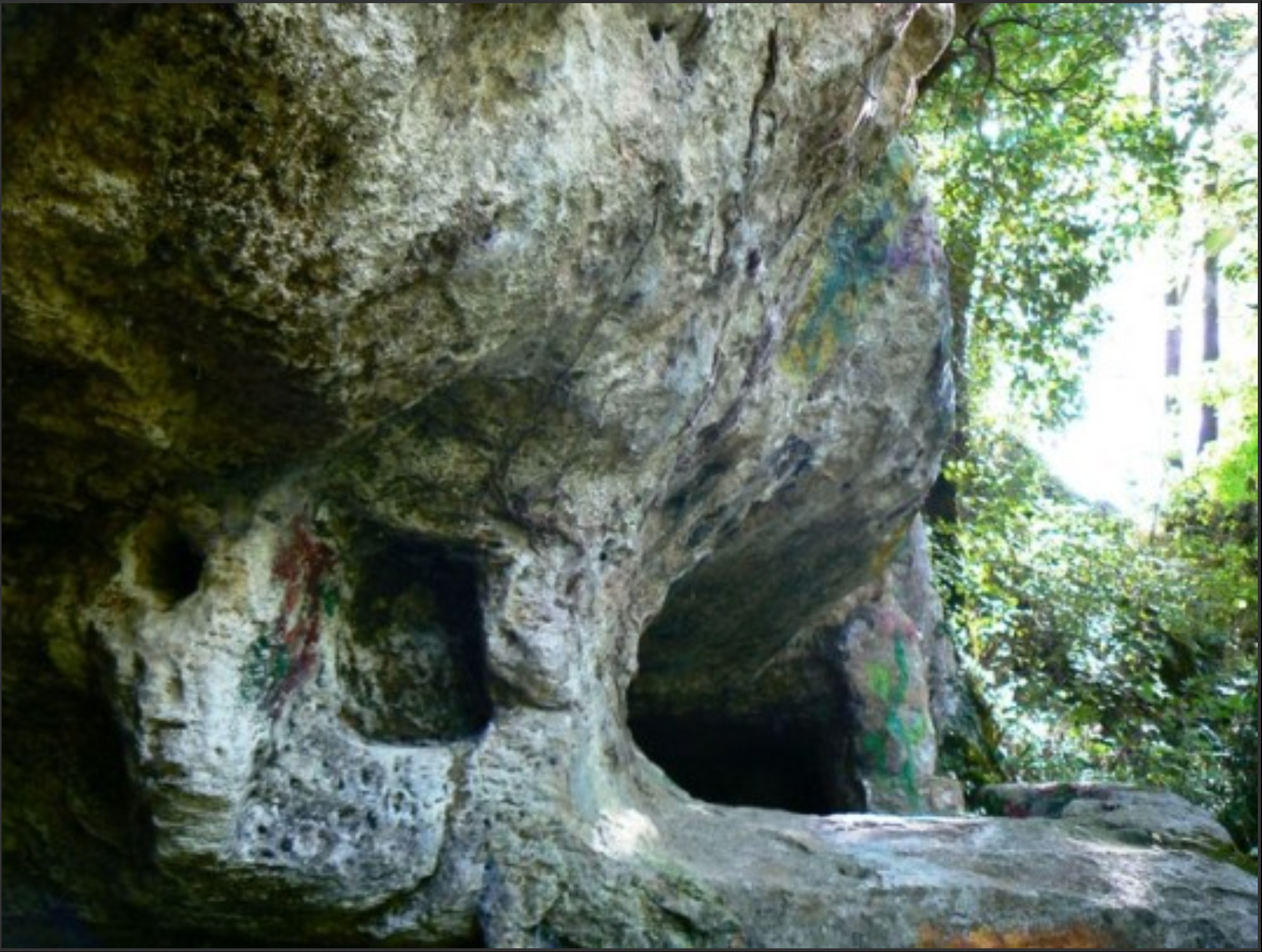 Enter a description here